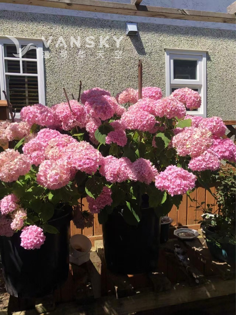 250619164750_Weixin Image_20250603193014.jpg